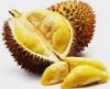 07-durian-fruit_1
