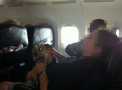 02-dog-on-plane2