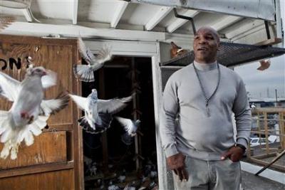 03-mike-tyson-pigeons