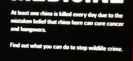 07-rhino-poster-closeup