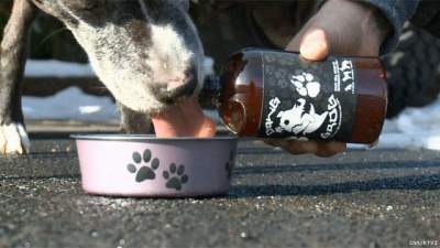 02-beer-for-dogs
