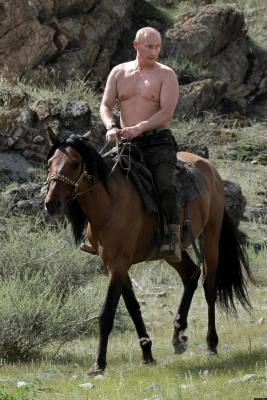 01-Putin-horse