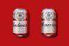 04-Budweiser-America.jpg