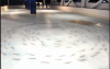 03-Frozen-fish-ice-rink.png