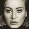 02-Adele-Face.png