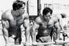 04-Arnold-and-Franco