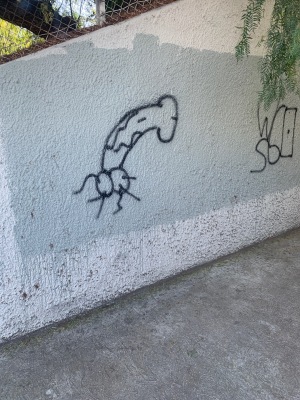01-Penis-graffiti