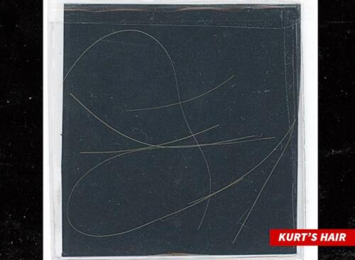 05 - Kurt Cobain's Hair Auction