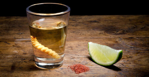 06 - tequila-worm-social