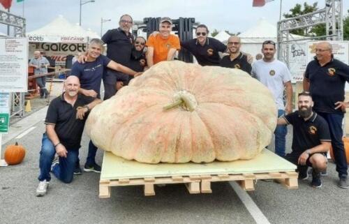 07 - World's Largest Pumpkin