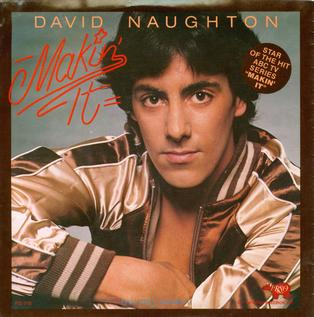 08 - David Naughton Makin It single
